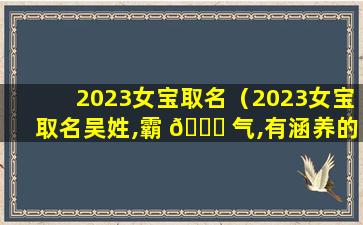 2023女宝取名（2023女宝取名吴姓,霸 🐟 气,有涵养的名字）